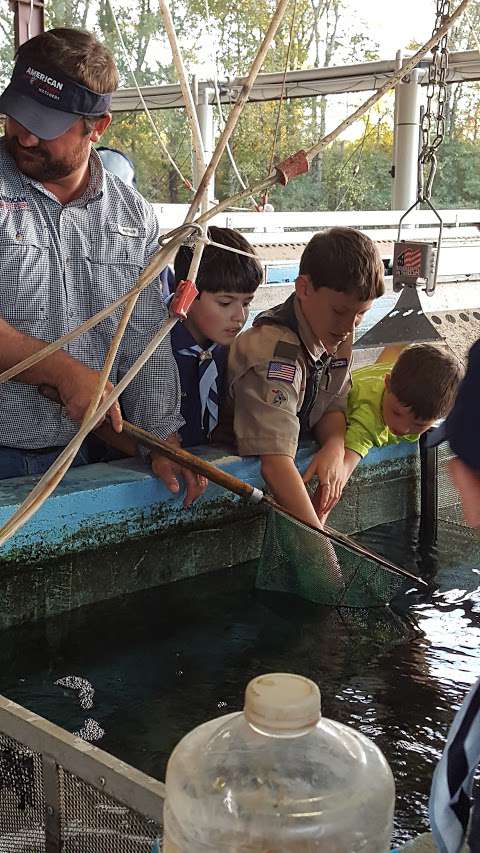 American Sport Fish American Sport Fish